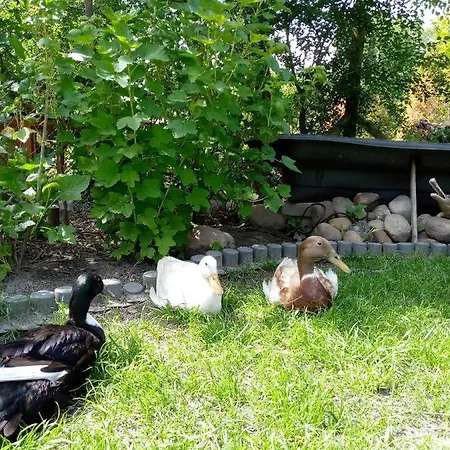Urlaub Auf Dem
